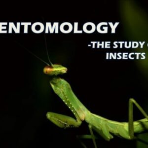 ENTOMOLOGY-THE STUDY OF INSECTS