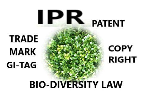 23102_Intellectual Property Rights (IPR)