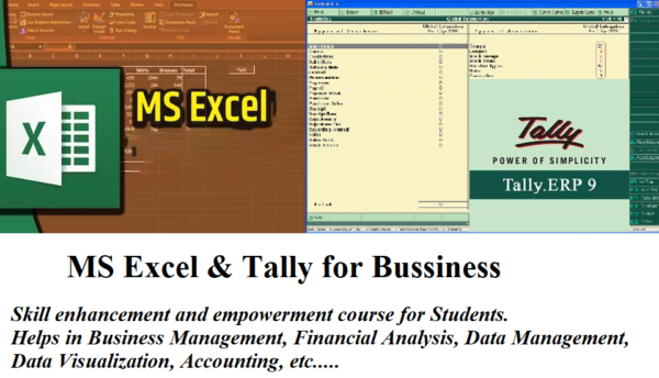 MS Excel and Tally for Business