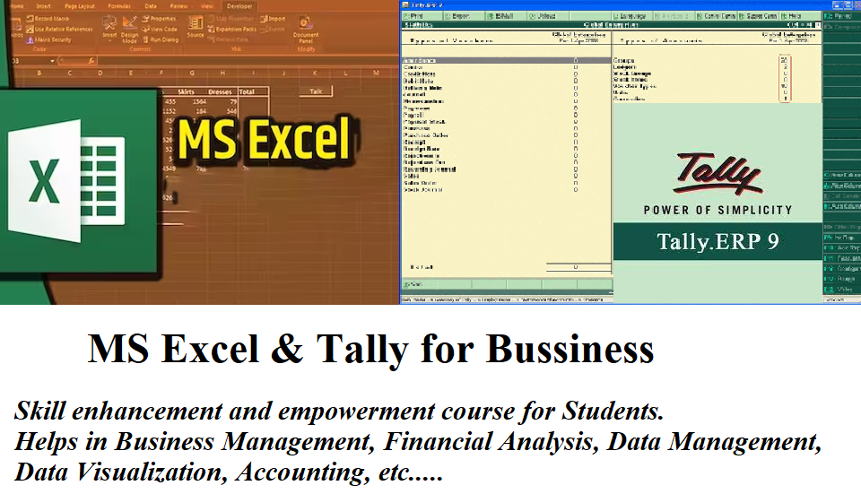 Excel and Tally for Business