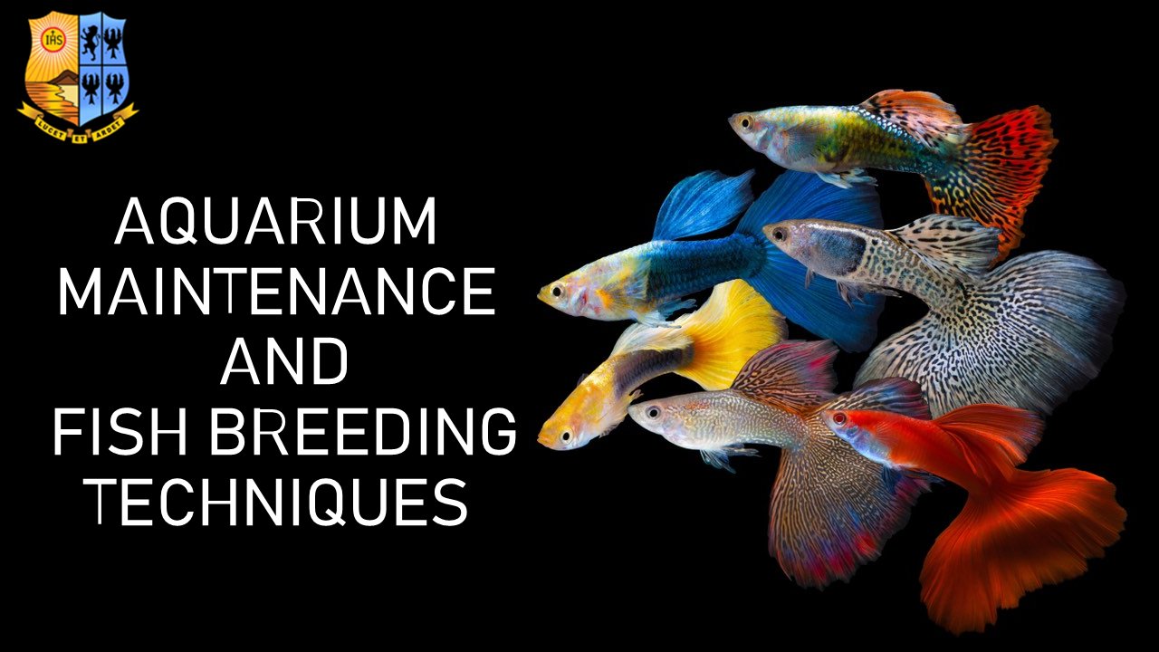 23114_AQUARIUM MAINTENANCE AND FISH BREEDING TECHNIQUES