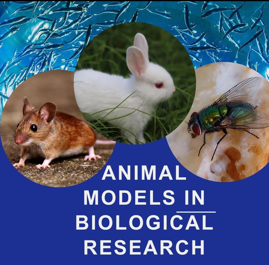 23113_Animal models in Biological Research