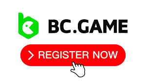 Discover Exciting Gaming Opportunities at BC.Game Casino
